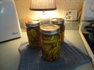 Bread & Butter Pickles, 7-21-12! 001